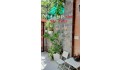 MẶT TIỀN ĐƯỜNG LÊ CƠ 
 - VIEW CÔNG VIÊN 
- KHU VIP CỦA KHU  NAM HÙNG VƯƠNG.